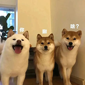 签名说说伤感